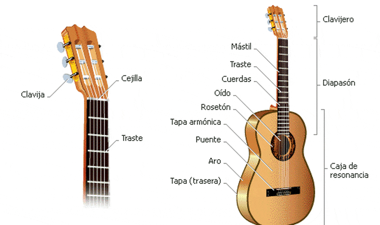 Guitarra acústica: Guía de compra
