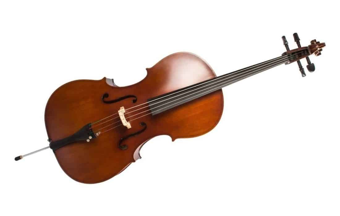instrumento – violonchelo2